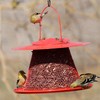Backyard Essentials Collapsible Metal Mesh Bird Feeder with Tray -