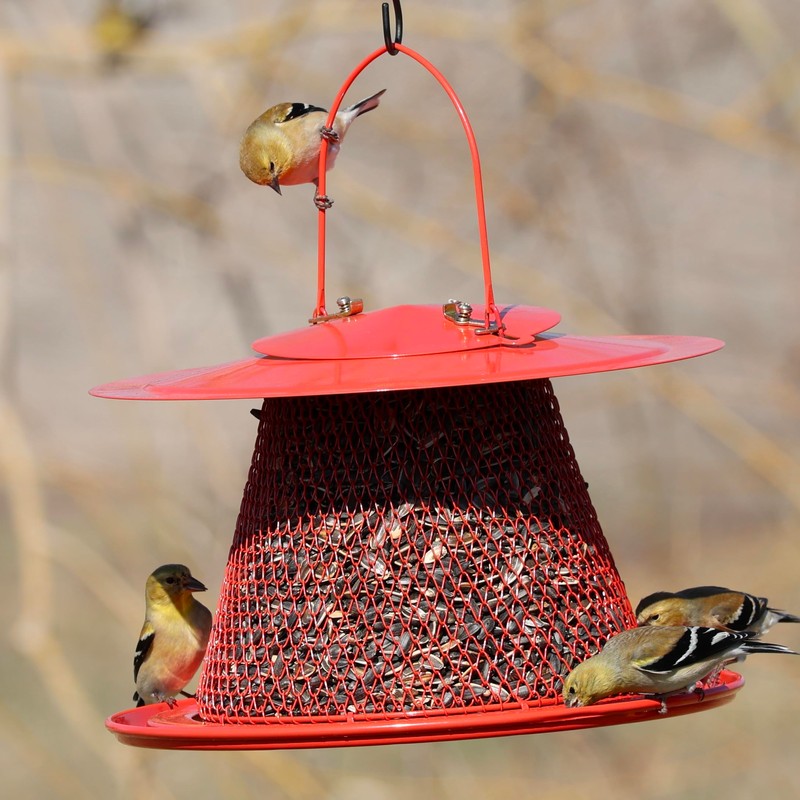 Backyard Essentials Collapsible Metal Mesh Bird Feeder with Tray -