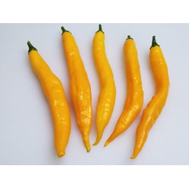 Aji Guayana Pepper 10+ Seeds