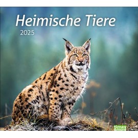 Heimische Tiere Bildkalender 2025: In diesem dekorativen Kalender finden sich die Bewohner heimischer Wiesen und Wälder. Ein times&more Wandkalender ... Tierfotos. (times&more Kalender Heye)