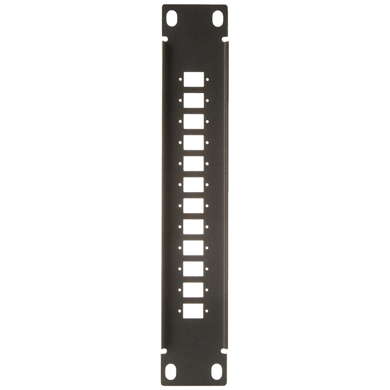 Delock 10 Inch Fibre Optic Patch Panel 12 Port for