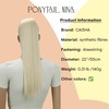 CAISHA 22" Drawstring Ponytail Synthetic Straight Platinum Blonde PH514
