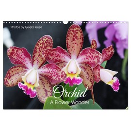 Orchid - A Flower Wonder (Wall Calendar 2026 DIN A3 landscape), CALVENDO 12 Month Wall Calendar: Fascinating flowers with immense variety