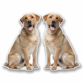 2 x 15cm Labrador Vinyl Stickers Decals Laptop Car Bike Dog Fridge #9774 (10cm Wide x 15cm Tall)