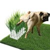 JoyHuaTrade 6 PCS Fake Grass Plants Pee Post, Reusable Washable