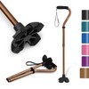 KINGGEAR F1 Walking Stick, Walking Cane for Women & Men,