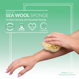 Neptune Natural Sea Wool Sponge - All Natural Honeycomb Renewable Sea Sponge, Medium, 3.5-4.5 inches