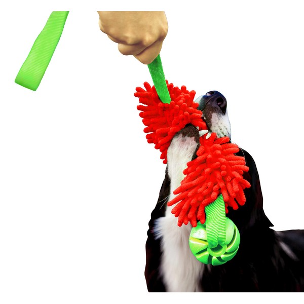 DINGO Floatable Tug Toy with a Flavoured Ball and Bungee
