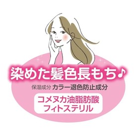 Simplism Z18C018 Beauty Essence Shampoo TB (Refill, 2 Pieces) Rinse in Shampoo Hari Koshi Moisturizing Shiny Scalp Care Shampoo Conditioner Treatment Color Fade Prevention Skin Care