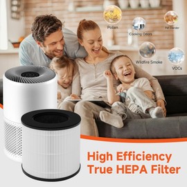 XBWW Cayman 608 320 True HEPA Replacement Filters Compatible with Okaysou Cayman 608, Cayman 320 Air Cleaner Purifier, 3-in-1 Filter of True HEPA, Activated Carbon and Fine Pre-Filter, 4 Packs