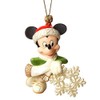 Mickey Snowflake Ornament