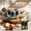 SNOWSEN Woody Essential Oil Set, 6 Pure Wood Scents -
