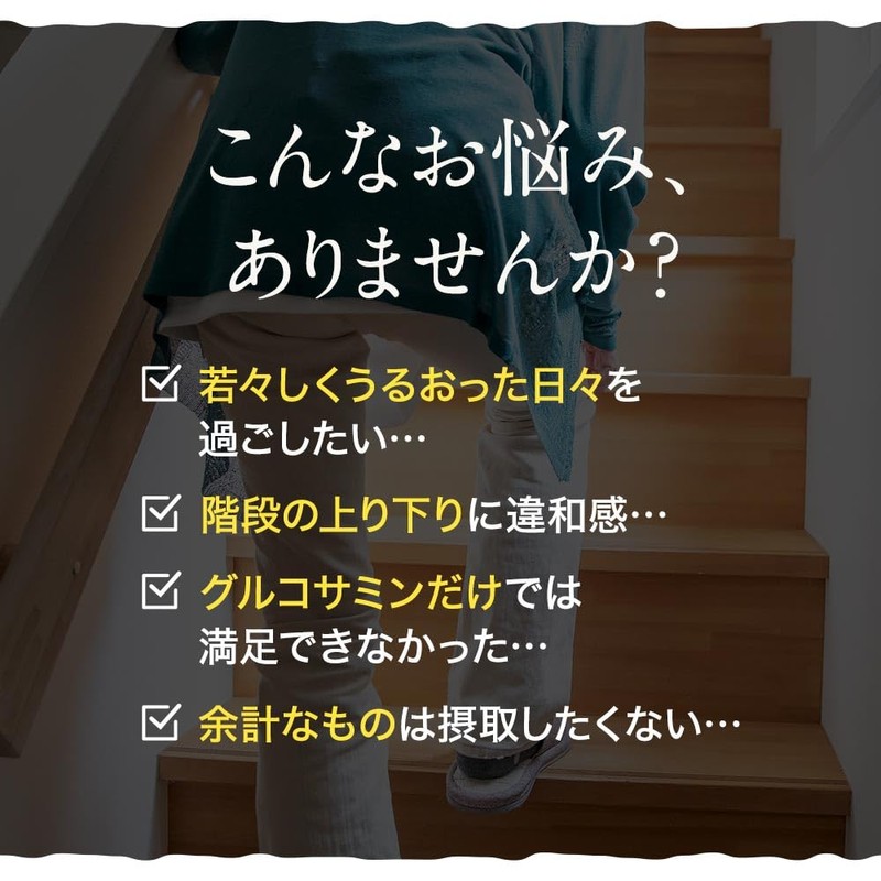 オーガランド プロテオグリカン パウダー 6g 粉末 イカ由来 イカ頭部軟骨抽出物 軟骨 膝 国内製造