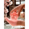T-shin Sakura-Shaped Scented Botanical Bath Soap Duo (2x45g),Cherry Blossom Design,Silky
