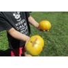 Huge Lemon Oxheart Tomato Seeds