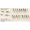 Rebel Lures P6077 Pop-R Fishing Lure - Foxy Momma, 2
