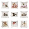 Wrendale Designs - 'Jolly Robin' Cushion