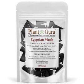 Egyptian Musk Charcoal Incense Cones 1" TOPFLOW - 50 Pack - Natural Scented Cones Handmade Hand Dipped