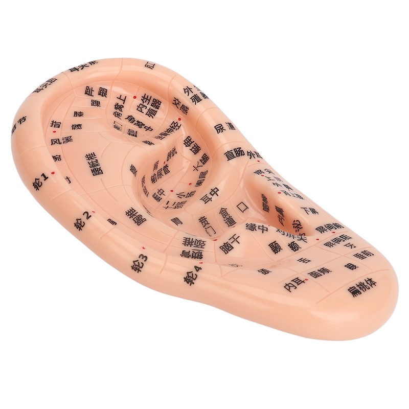 Ear Sticker Acupuncture Kit 600pcs Ear Massage Sticker Acupuncture Model