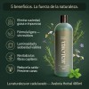 Shampoo Avaloria Botánico Anticaída y Crecimiento Natural 480 ml, sin