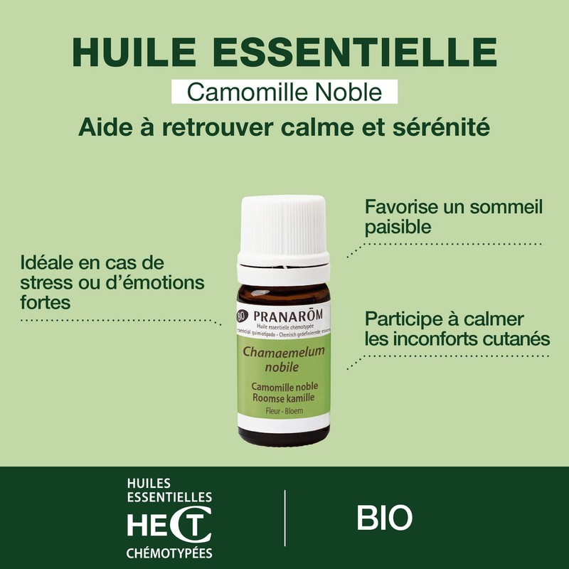 Pranarom - essential oil - Chamomile noble - 5 Ml