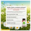 BonVigo® MenthaVigo Lungwort & Eucalyptus, 120 Capsules, 11 Plant Extracts,
