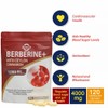 AuranC-H Berberine HCL Supplement Berberine 1200mg Serving HCL - Plus