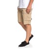 Element Quiksilver Crucial Battle 21 Inch Cargo Shorts for Men