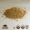 100% Organic Rye Berries - 25 lbs