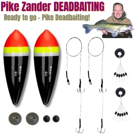 Pike Dead Bait Float x2 Rigs Fishing Kit Including Trace Hooks Float - UK POST