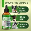 SalutemPet Natural Dog Antibiotics | UTIs, Allergies, Joints, Digestion |