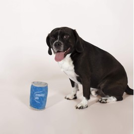 Fringe Studio Brut Rose Champagne