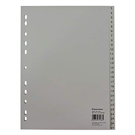 Soennecken Index 1 – 54 Full Height Graphics Card for 22.5 x 29.7 cm (W x H): A4, 11-Hole Punching, 2 Drains, Polypropylene, 0,115 mm, Grey