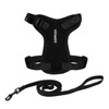 Voyager Step-in Lock Cat Harness and Reflective Cat Leash with