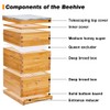 POLLIBEE 10 Frame Langstroth Beehive, Beeswax Coated Bee Hives for