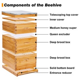 POLLIBEE 10 Frame Langstroth Beehive, Beeswax Coated Bee Hives for Bee Keeper,Beehive Include 2 Deep Bee Boxes and 1 Medium Bee Hive Box with Frame and Foundation(Unassembled)