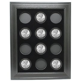 Tiny Treasures 12 American Eagle Silver 40mm Coins (Not Included) 9" x 12" Wall Display Picture Frame Made in USA