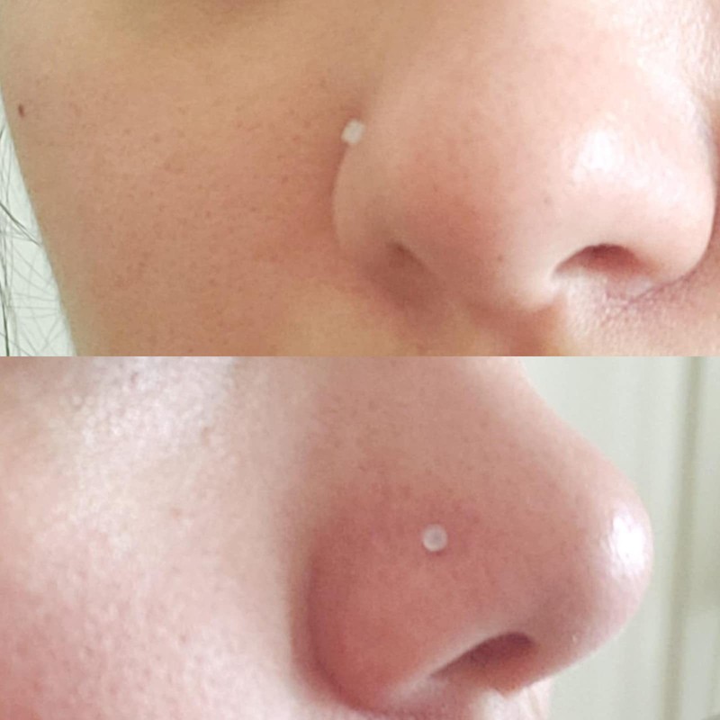 QWALIT Clear Nose Studs and Rings for Work - Plastic