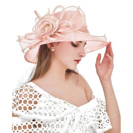 Z&X 오르간자 교회 파시네이터 웨딩 티 파티 더비 모자 여성용 플라워 와이드 브림 [Fascinator] [022 L Light Pink] Z&X Organza Church Fascinator Wedding Tea Party Derby Hat for Women Flower Wide Brim [Fascinator] [022 L Light Pink]