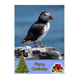 Puffin Christmas Card 'Merry Christmas' - Special Xmas Card for Him Her Kids Male Female