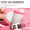 PUPTECK Adjustable Dog Harness Collar and Leash Set Step in
