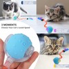 Kavsgdow Interactive Cat Toys Ball for Indoor, Cat Toys Interactive,