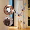JIGCEN Flying Bird Cat Toys for Indoor Cats, Interactive Chirping