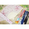Kyoyu Japanese Merchandise Silk Folding Fan, Bag Included