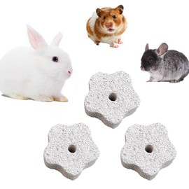 HUSABEJAIN 10 PCS Hamster Teeth Grinding Lava Block Rabbits Lava Blocks Mineral Stone Chew Toy for Parrot Rabbit Hamster Rat Chinchilla Teeth Molar Toy Accessory