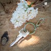 PAKADI Pack of 10 Carabiner Hooks with Key Ring in