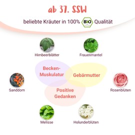 Geburtsvorbereitung - 100% BIO Schwangerschaftstee speziell ab 37. SSW - mit Himbeerblättern und Frauenmantel nach traditionellem Hebammen-Wissen für das 3. Trimester - PregniVital®