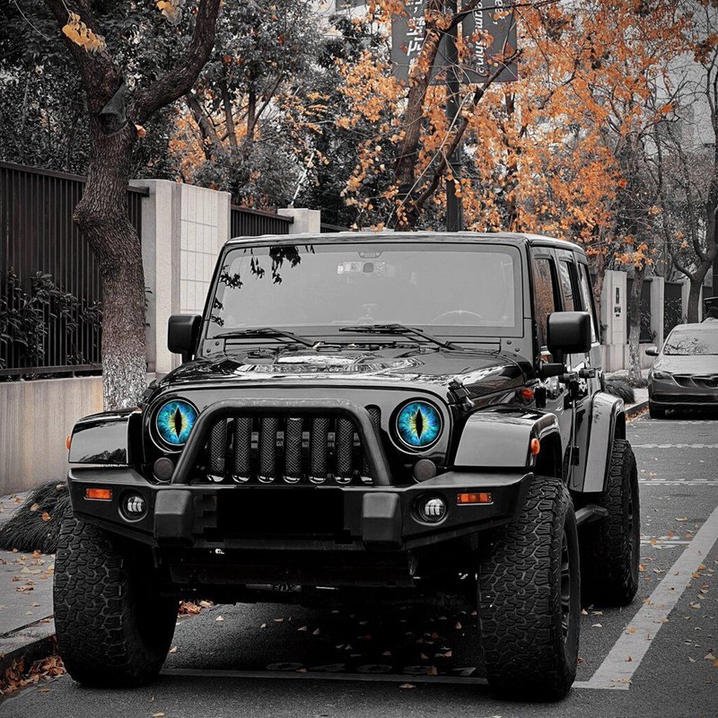 Damwot Beast Eyes Headlamp Decals for Jeep Headlights, 3D Round