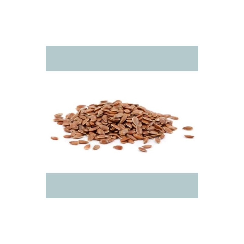 Biona Organic Linseed Brown, 500g