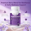 Elvera Gut Support Complex - Organic Black Elderberry Soft Capsules